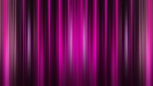 Violette Lichter vor dunklem Hintergrund